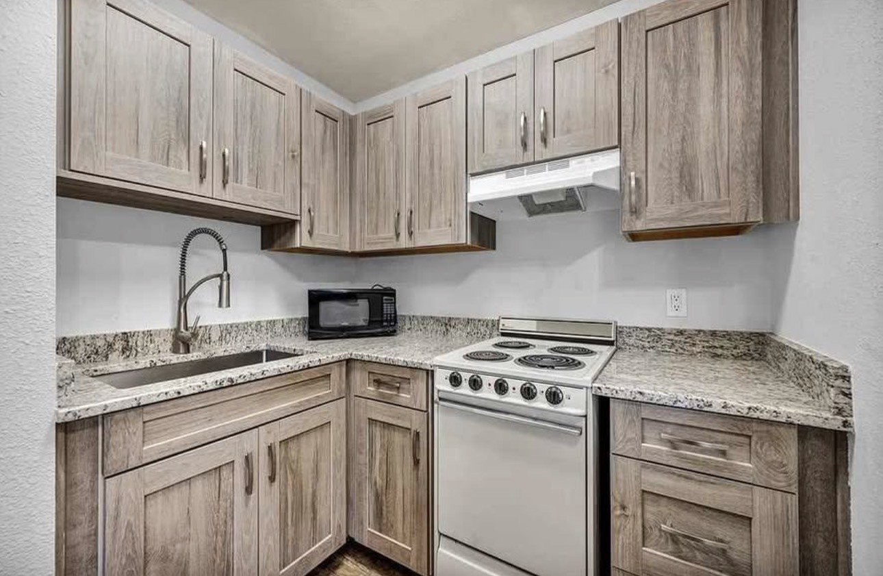 Mt View Kitchen Reno NV Apartment